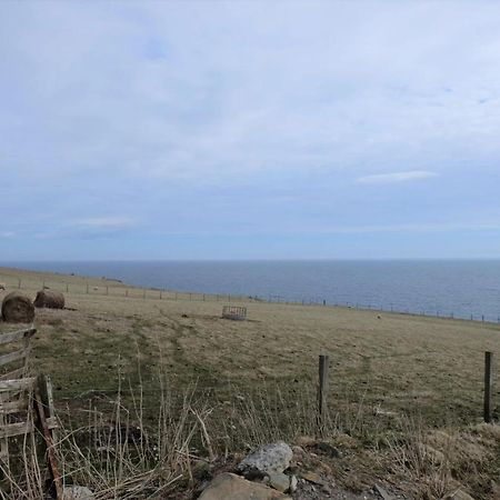 Fabulous Location With Sea And Castle View - Nc500 Bed & Breakfast Keiss Dış mekan fotoğraf